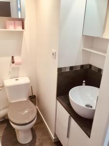 a bathroom with a white toilet and a sink at 9M en plein centre de Lyon visite à pied in Lyon