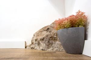 Fotografie z fotogalerie ubytování Rochinha Cozy Home ve Funchalu