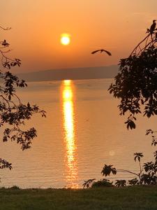 einen Sonnenuntergang über dem Wasser mit einem Vogel in der Unterkunft Samuka Island Retreat in Jinja