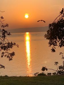 a sunset over the water with a bird flying at Samuka Island Retreat in Jinja