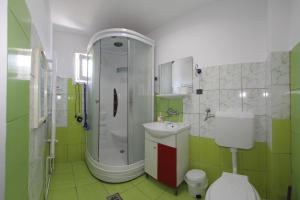 Koupelna v ubytování Casa Francisc + 37 fotografií
