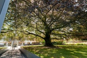 Giardino di Notarishuys "Pure Hotel"