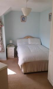 um quarto com uma cama com uma parede azul em The Mournes view Farmhouse em Newcastle