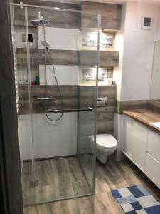 Kúpeľňa v ubytovaní Apartament Dworcowa 30A 14