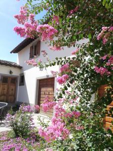 Vonkajšia záhrada v ubytovaní Borgo Sant'Andrea al Pozzo