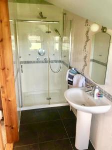 Koupelna v ubytování Tobernaglough Wexford pet friendly country b&b
