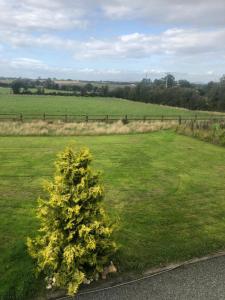 Paisagem natural perto of the country house