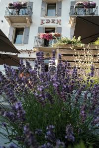 Un mazzo di fiori viola davanti a un edificio. di Eden Hotel, Apartments and Chalet Chamonix Les Praz a Chamonix-Mont-Blanc
