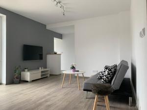 TV a/nebo společenská místnost v ubytování Tolarova Apartmán
