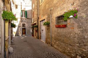 an alley with potted plants on the side of a building at La Casa del Gelsomino in Tivoli +6 photos