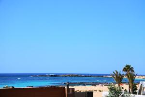 a view of a beach with palm trees and the ocean at Casa Nemo Cotillo Mar in El Cotillo