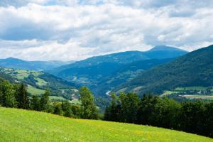 グミュント・イン・ケルンテンにあるHansbauer Appartmentsの山の景色を望む緑の丘陵