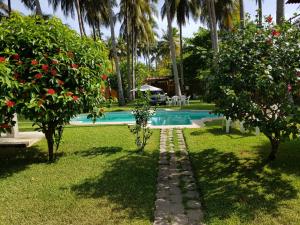 a swimming pool in a yard with palm trees at Rancho villas de alicia in La Paz