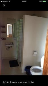 uma casa de banho com cabina de duche e WC em Hillside Village apartment 72sqm size with kitchen em Siquijor