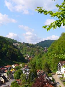 a town in the mountains with houses and trees at Landhaus Kathrin in Walkenried