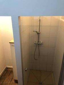 a bathroom with a shower with a glass door at Mühlweg-Appartment in Alzenau in Unterfranken