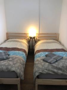 two beds sitting next to each other in a room at Mühlweg-Appartment in Alzenau in Unterfranken