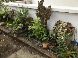 Um jardim no exterior de Silang Near Tagaytay Transient Rooms for Family
