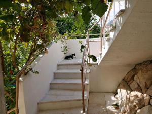 Fotografie z fotogalerie ubytování Apartments Šimun v destinaci Sumpetar
