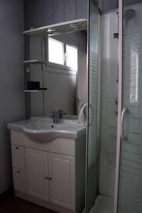 a bathroom with a sink and a mirror and a shower at L'écoutille in Dieppe
