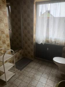 een badkamer met een douche, een toilet en een raam bij Mühlwegunterkunft in Alzenau in Unterfranken