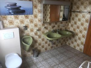 La salle de bains est pourvue d'un lavabo vert et de toilettes. dans l'établissement Mühlwegunterkunft, à Alzenau