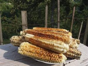 Jídlo v venkovského domu nebo okolí