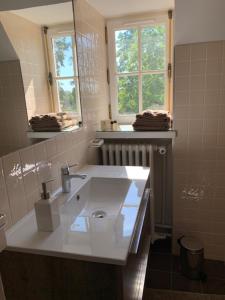 uma casa de banho com um lavatório branco e um espelho. em Le Donjon d'Anthon em Anthon