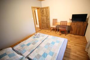 a bedroom with a bed and a table and a television at Penzion u Vinice in Sedlec