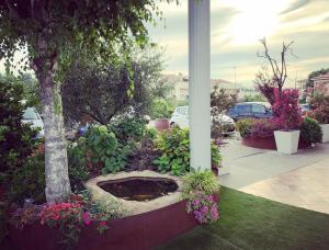 einen Garten mit einem Baum und ein paar Blumen in der Unterkunft Hotel Valpolicella International in San Pietro in Cariano