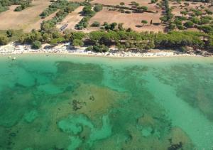 a large body of water with a beach at Villaggio Camping Nurral in Fertilia