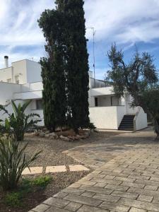 a white building with a tree and a walkway at La casa accanto in Bari