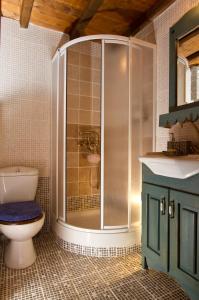 a bathroom with a shower and a toilet and a sink at Kivotos Epavlis in Prespes