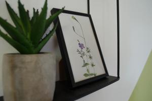 a plant in a picture frame next to a plant at Oleander Rooms & Apartment in Sofia