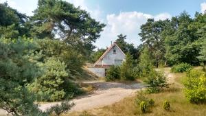 a house in the middle of a field with trees at Het krekeltje in Beerze