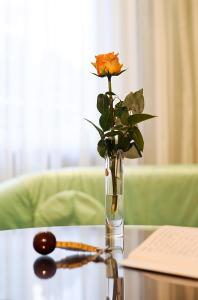 Posezení v ubytování Hotel Palmenhof