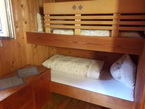 a bunk bed in a wooden cabin with a wooden cabinet at Unterniggleralm in Thurn