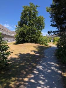 a road with trees on the side of a hill at Appartement Waddengeluk Resort Amelander Kaap! in Hollum