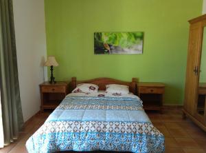 a bedroom with a bed and a green wall at Zoiseaux Paradis in Ravine des Cabris