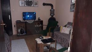 Televisyen dan/atau pusat hiburan di Guest House Jevtović