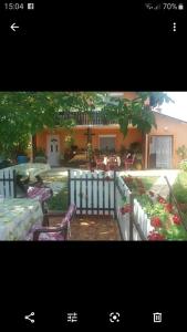 Taman di luar Guest House Jevtović
