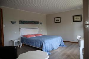 a bedroom with a bed with a blue blanket and red pillows at Domaine des Tilleuls in Marcillac