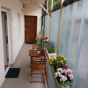 Fotografia z galérie ubytovania Margit Apartman v destinácii Eger + 11 fotografií