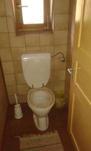 a bathroom with a toilet with a window and a rug at Unterniggleralm in Thurn