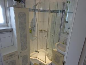 a bathroom with a shower and a sink at Ferienwohnung LAN in Bad Rothenfelde +49 photos