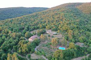 Agriturismo Podere Costarella في Radicondoli: اطلالة جوية على منزل في وسط غابة