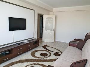 a living room with a couch and a flat screen tv at Ion Neculce 1/1Appartamento in Chişinău