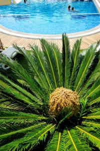 Bazén v ubytování Kallikoros Country Resort & Spa nebo v jeho okolí
