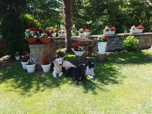 Φωτογραφία από το άλμπουμ του Hotel Rural El Torrejon σε Arenas de Cabrales +62 φωτογραφίες