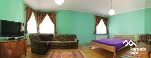 a living room with a couch and a tv at Садиба У Гайдука in Vizhenka